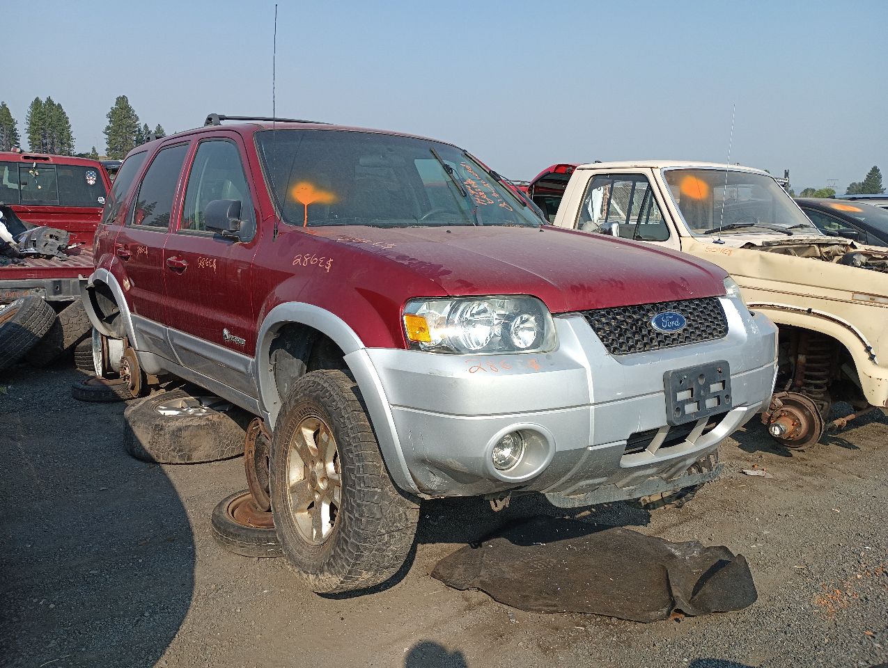 2005 FORD Escape