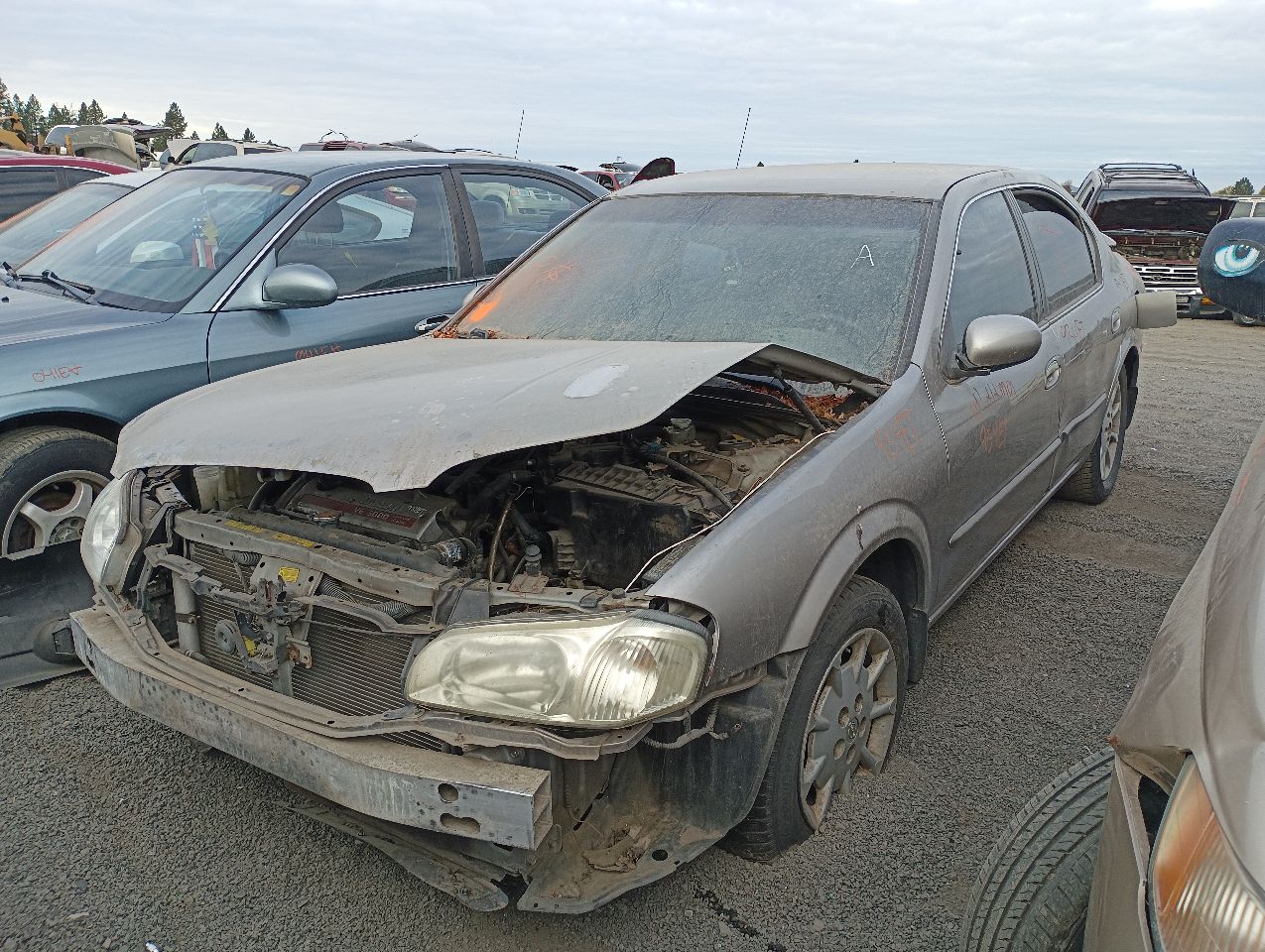 2001 NISSAN Maxima
