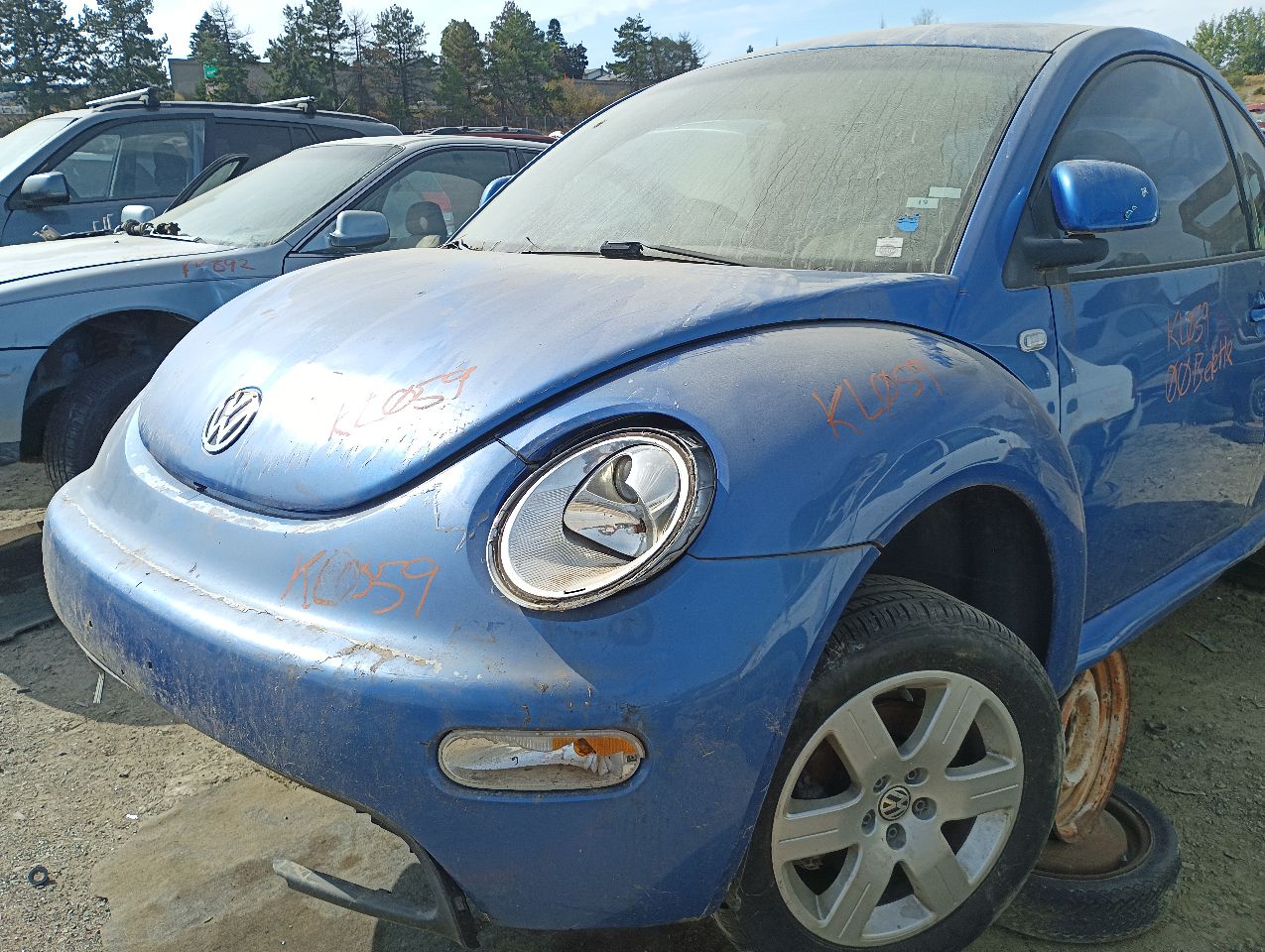 2000 VOLKSWAGEN Beetle